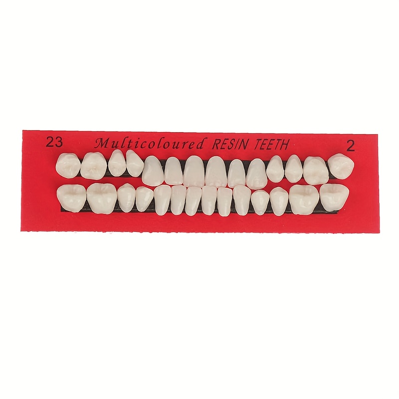 TEMU 56 High-quality Polypropylene Dental Practice Models: Realistic Tooth Design, Improving Oral Care Training And Teaching Efficiency