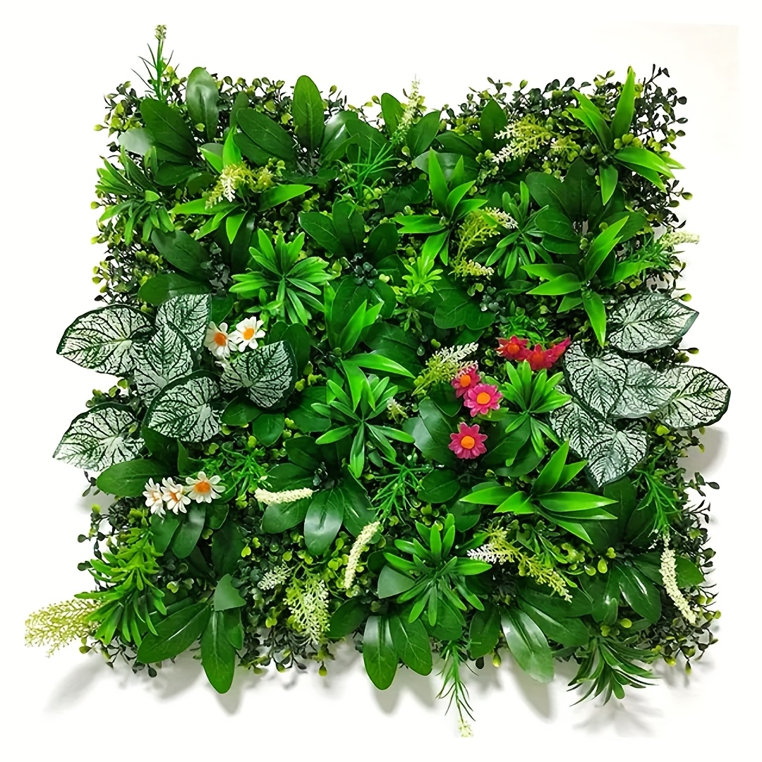 half moon monstera Monstera Albo Half Moon Variegated – Siamplantes main image 1