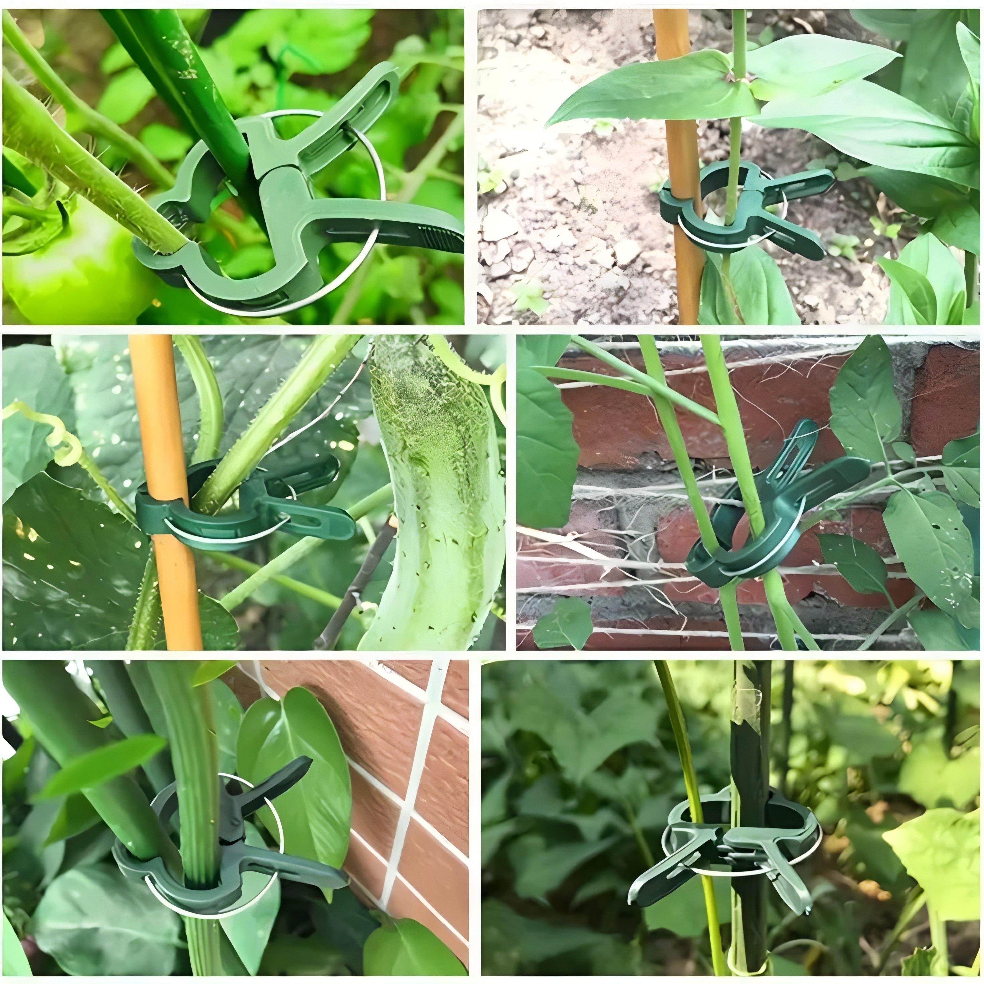 50/30/10pcs Adjustable Plant Clips - Reusable Garden Support For Flowers, Vines, Vegetables & Tomatoes - Durable Plastic, Essential Gardening Tools