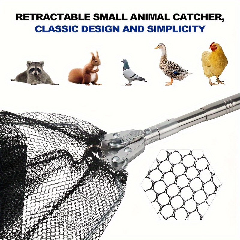 GLOBOTECH Extendable Chicken Catcher Leg Hook - Stainless Poultry Hook Fowl  Catcher, 25 Extend to 59, Perfect Tool for Safe and Easy Handling of  Fowl, Duck Catcher Instead of Bird Catching Net 