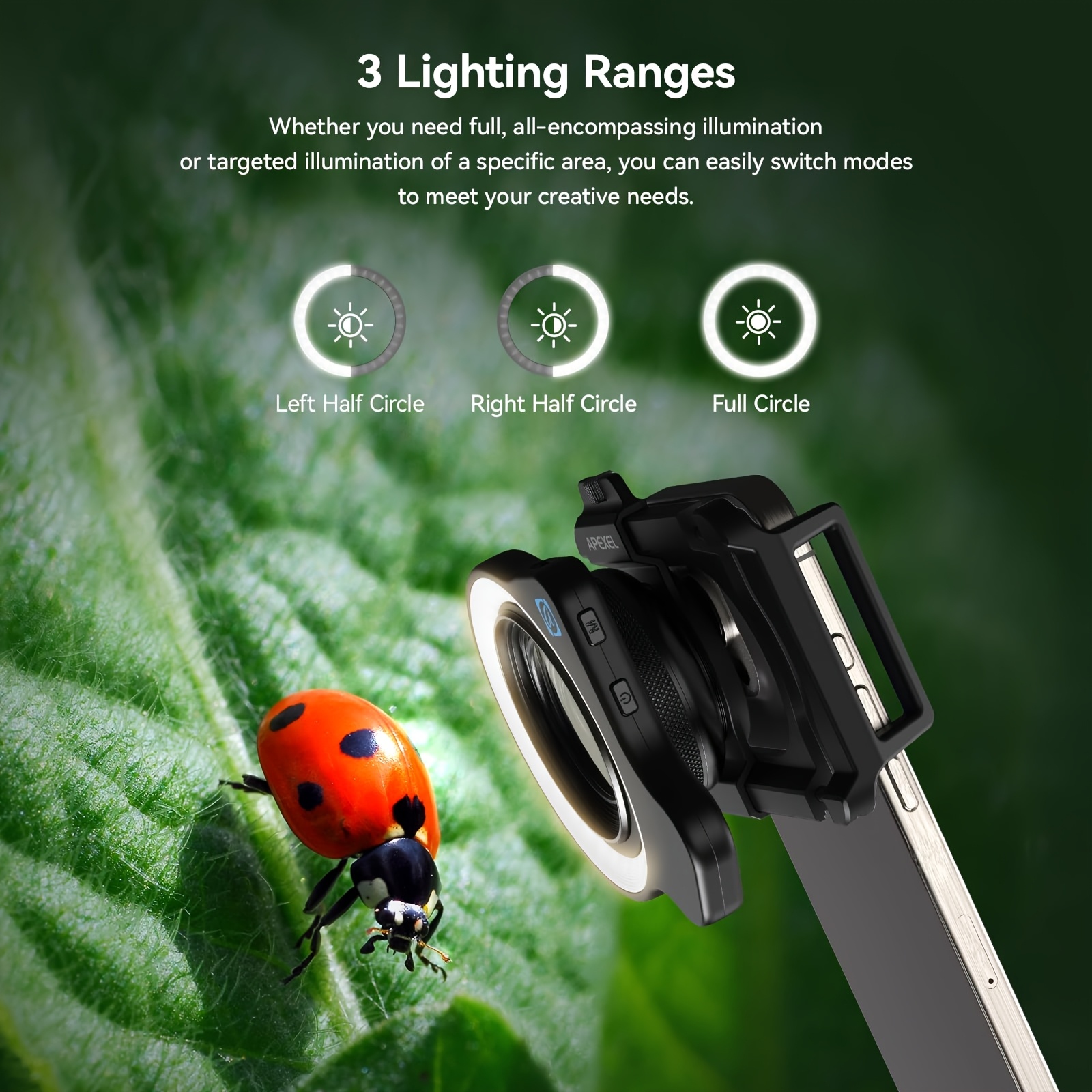 Lens Recommendations Macro Lens For Insect Photography 10 20x