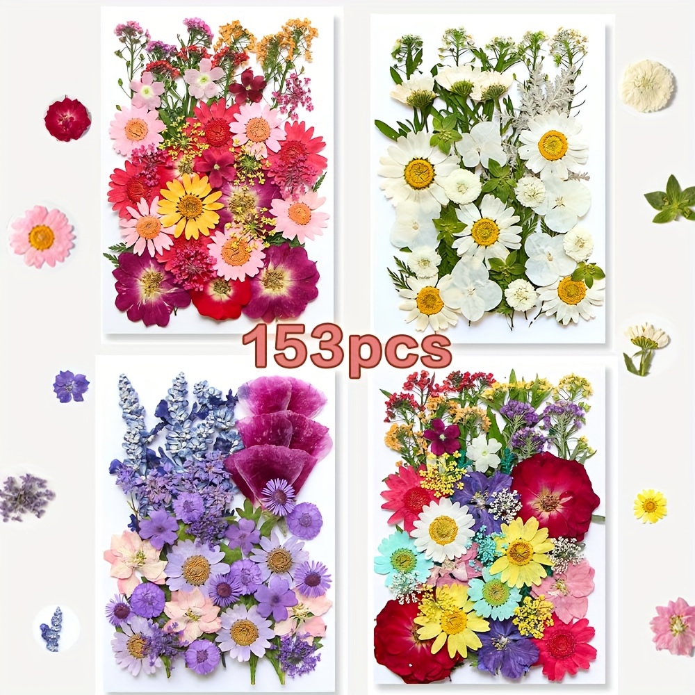 TEMU 153-160pcs Vibrant Dried Pressed Flowers And Leaves Set - Nature-inspired Decoration Kit For Crafts, Resin Jewelry, Scrapbooking And More