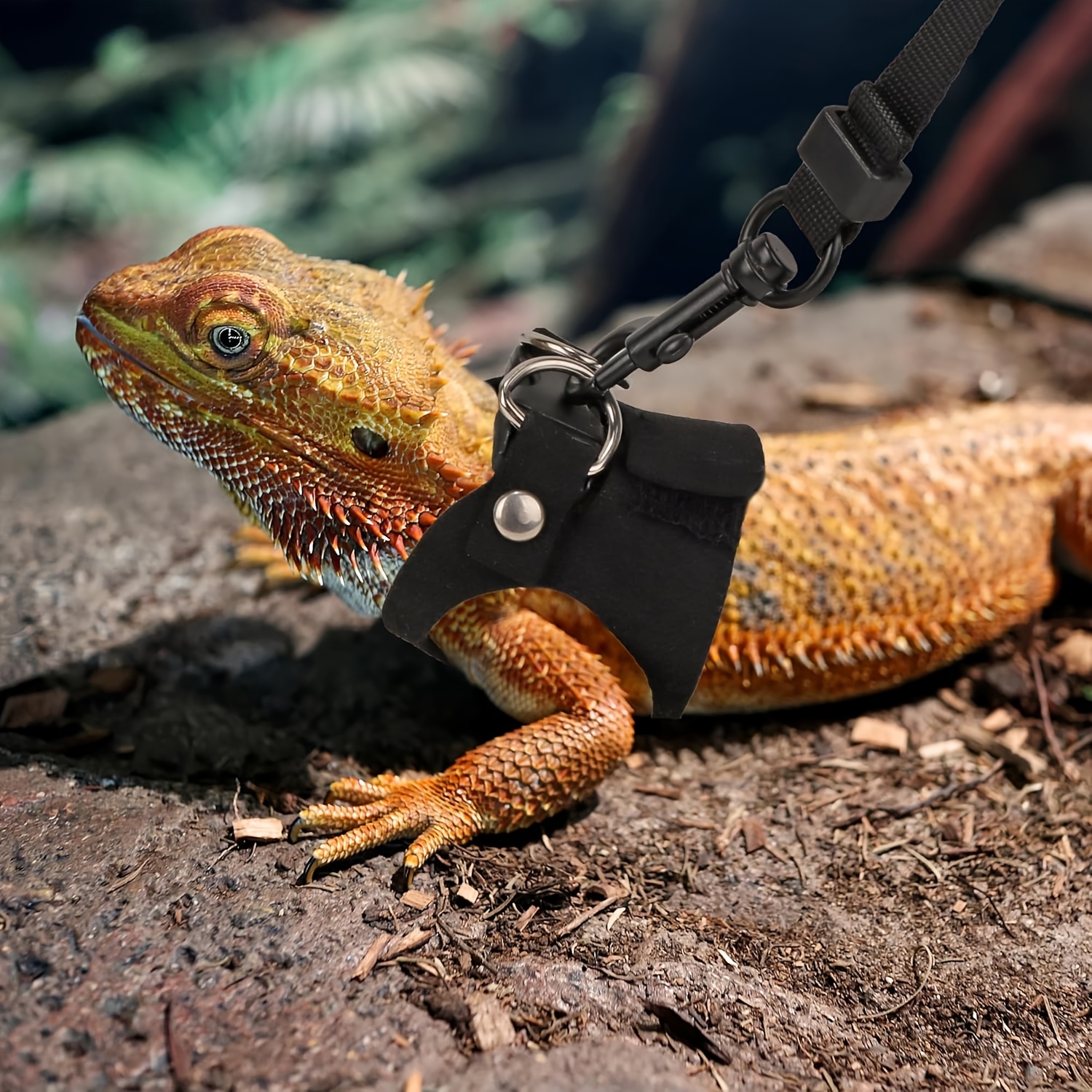 Bearded Dragons Set/Harness And Leash/Walking Your Lizard/Ideal for/Available in 3 Sizes