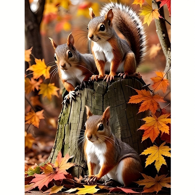 

5d Full Drill Round Diamond Painting Kit For Beginners, Animal Theme Squirrel Diamond Embroidery, Diy Crafts & Room Decor, Ideal Gift For Art Lovers And Friends
