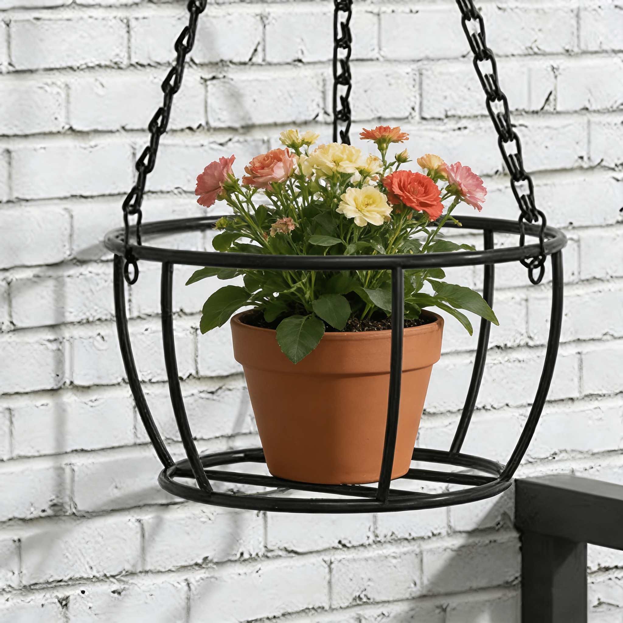 money plant picture Money Plant Golden (Small) in Golden Metal Pot  Greenkin