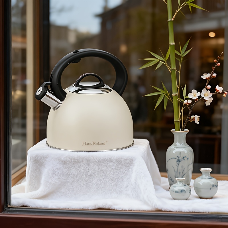 3L Stainless Steel Sound-Producing Kettle for Induction & Gas Stoves