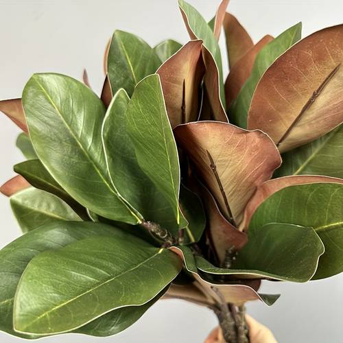 item picture 2pcs simulated magnolia leaf plants magnolia branches for landscape decoration magnolia trees white bowls flower buds and leaves suitable for indoor and outdoor decoration autumn and spring viewing simulated