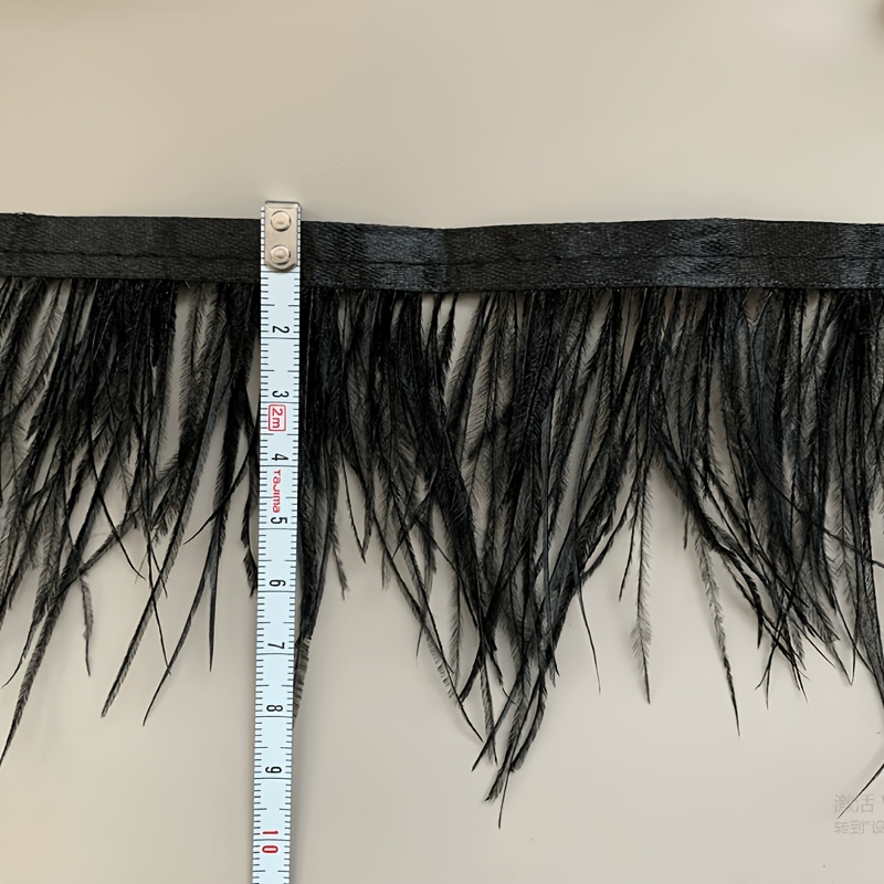 TEMU Tira de tela con de plumas de 95CM para adornar bordes de vestidos, faldas y ropa, encaje para detalles