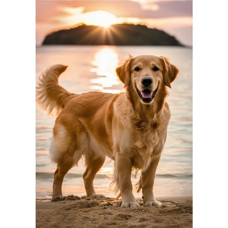 

1pc 5d Diamond Painting Kit, Golden Retriever At Sunset, Round Diamond Art Craft, Animal Theme Canvas Wall Decor, 40x60cm/15.7x23.6in