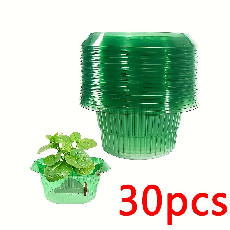E-shop 30 Stück grüne transparente runde Schnecken- Nacktschnecken-Schutzabdeckungen – wiederverwendbarer Kunststoff-Pflanzenschutzkragen gegen