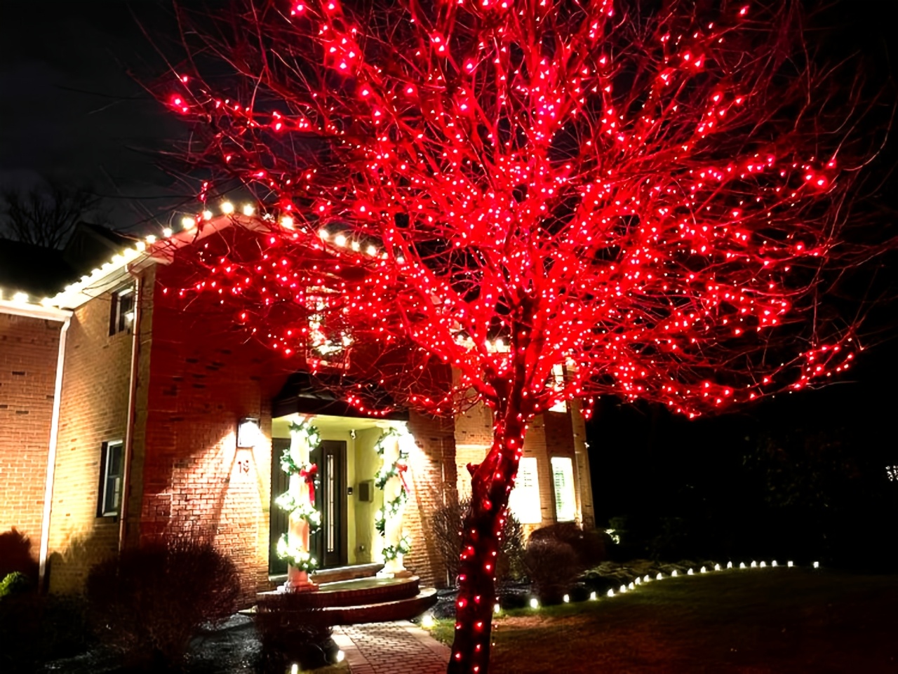 Outdoor Solar Fairy Lights with Smart Control, 8 Modes, IPX6 Waterproof, 50/100/200 LED, Warm White & Multicolor Options (Purple, Red, White) - Solar-Powered Indoor/Outdoor, Christmas, Halloween, Garden, Patio, Tree, Party, Yard, Wedding, Birthday