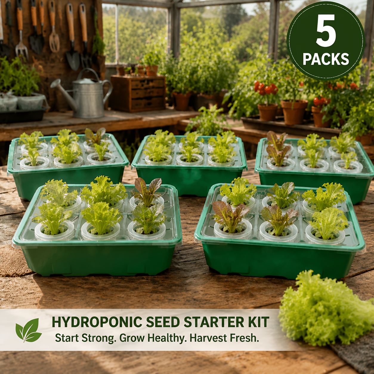TEMU 5-pack (30-cell) Hydroponic Seed Starter System With Boxes, Clear Lids & Net Cups - Indoor Hydroponic Trays Suitable For Lettuce, Herbs, ,
