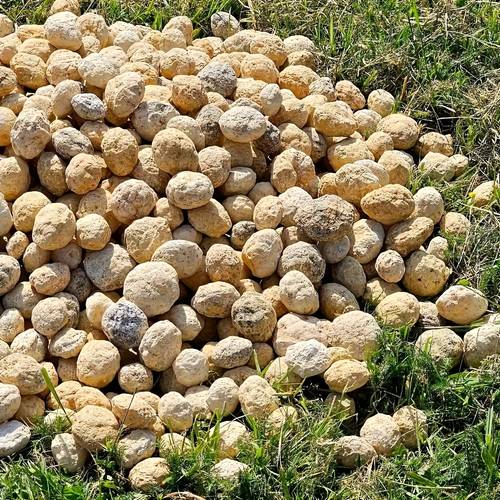 20 50pcs of natural moroccan agate crystals mineral specimens of crystal geodes decorative ornaments for treasure bowls rough agate mineral decorations quartz rough crystal clusters for cave collections