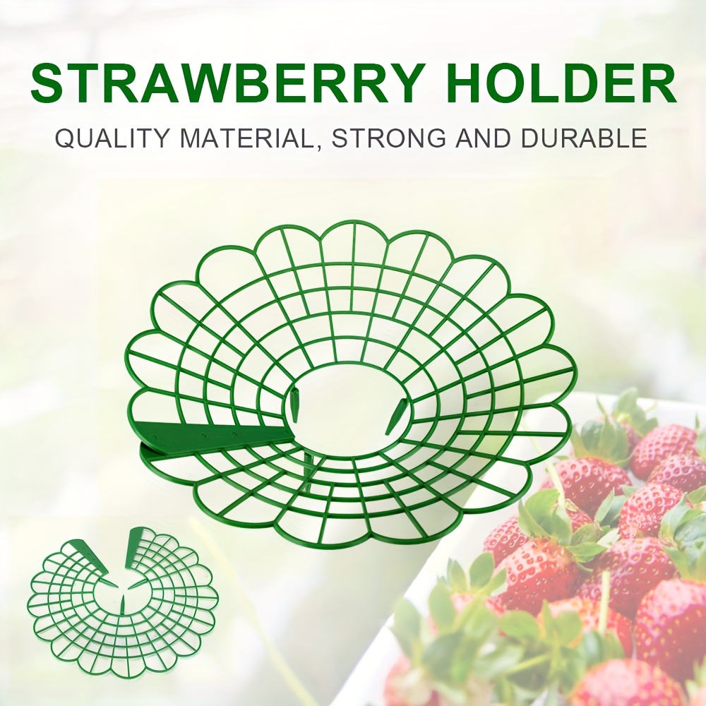 

Festive Plastic Fruit Support Frame: Protects And Improves Fruit Quality - Perfect For Strawberries, Blueberries, And More