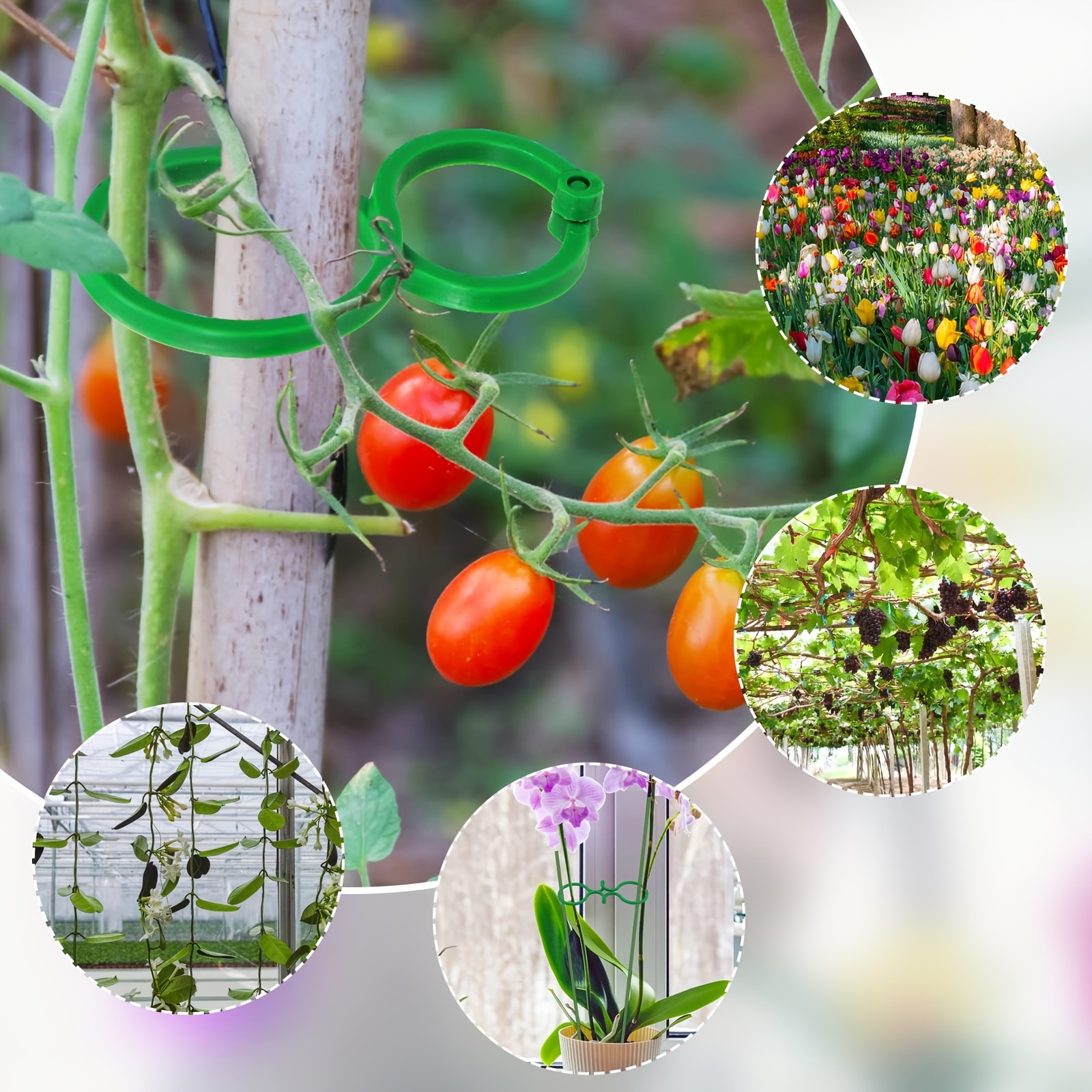 20/50/100/200pcs, Plant Clips For Climbing Plants Garden Clips Plant Support Clips For Tomato Gardening Clips Vegetable Clips For Support For Securing Plants