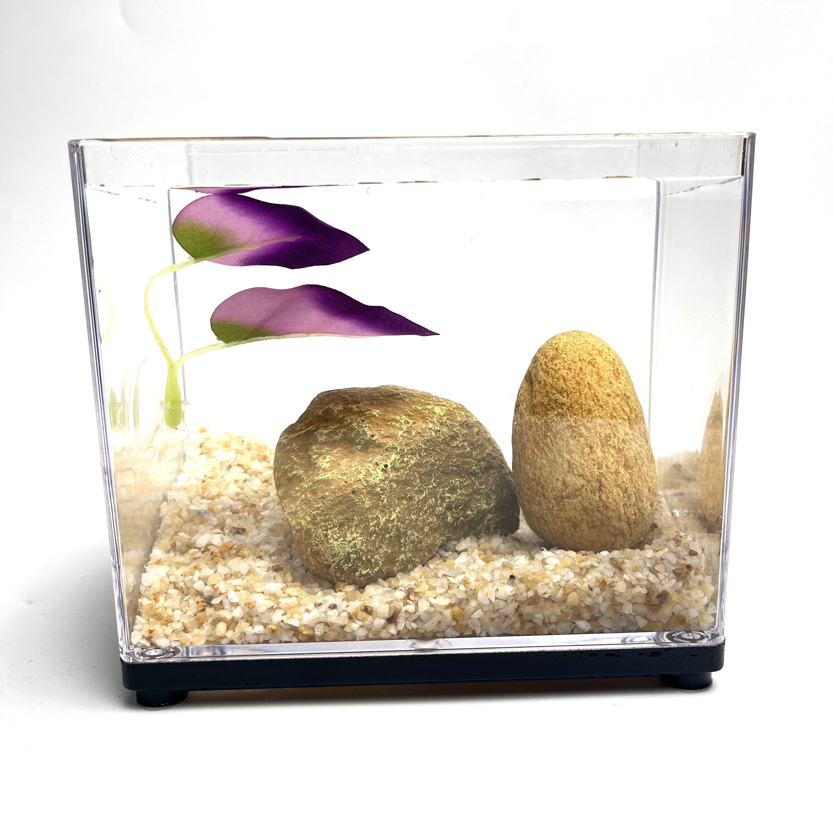 Aquarium Betta Mirror Betta Exercise Mirror Fish Tank Floating Round Mirror  For Fish Betta Training, Free Shipping On Items Shipped From Temu