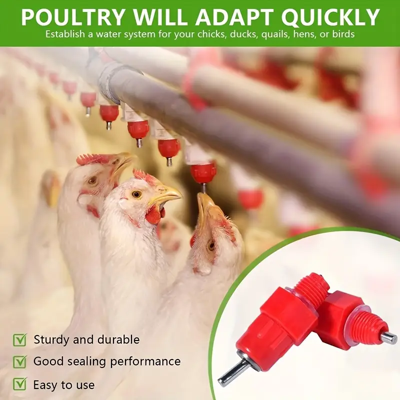 Abbeveratoio Automatico Polli 12 Litri - Sistema A Gravità Per Galline - Foto 8