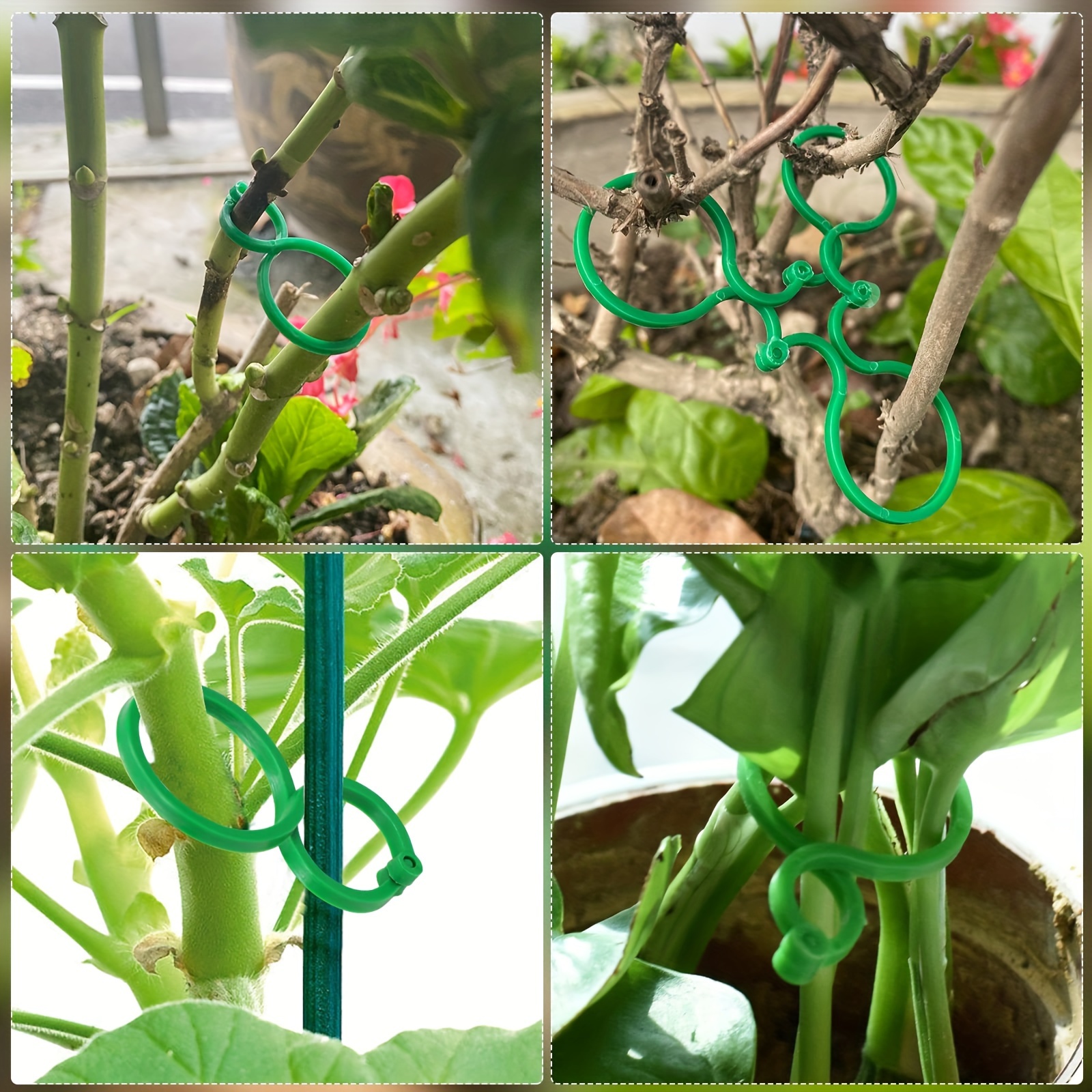 20/50/100pcs Green Plastic Plant Clips for Climbing Plants - Durable Garden Support Clips for Tomatoes, Vegetables & Flowers, Secure Plant Stakes for Healthy Growth, Easy to Use & Remove, Garden Plant Support, Flower Stability, Sturdy Construction, Vegetable Stakes, Tomato Trellis, Lightweight Clips, Weatherresistant Material, Plant Tie Clips, Garden Stake, Home Gardners, Florist Supplies