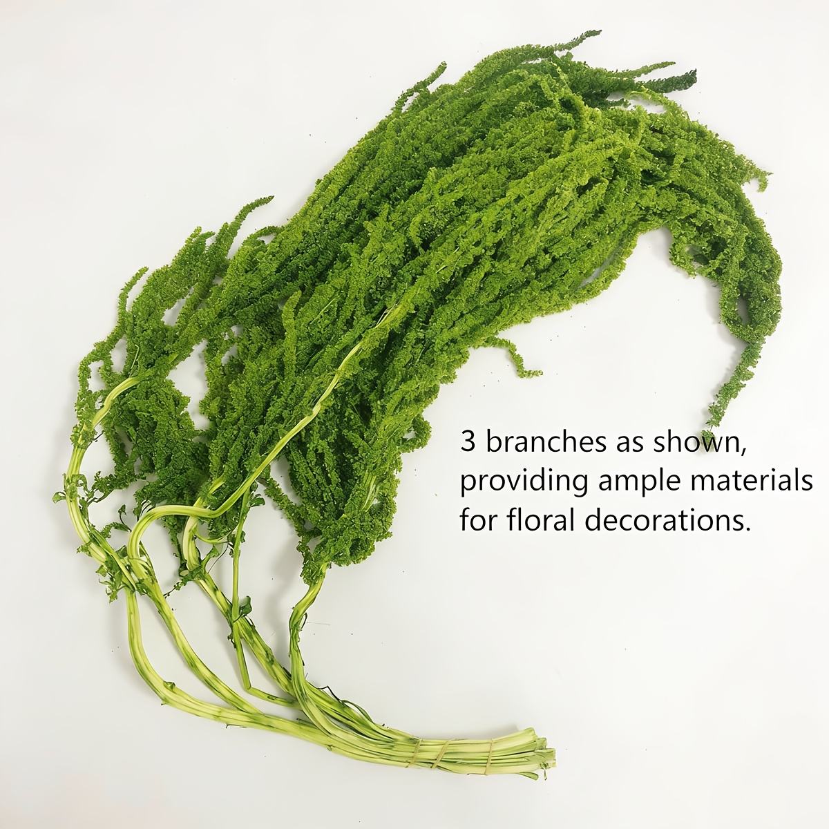 Pack Of 3 Dried Amaranthus Flowers, Bleached Wisteria Vines, Amaranthus Flowers, For Wedding Bouquets, Wall Decoration