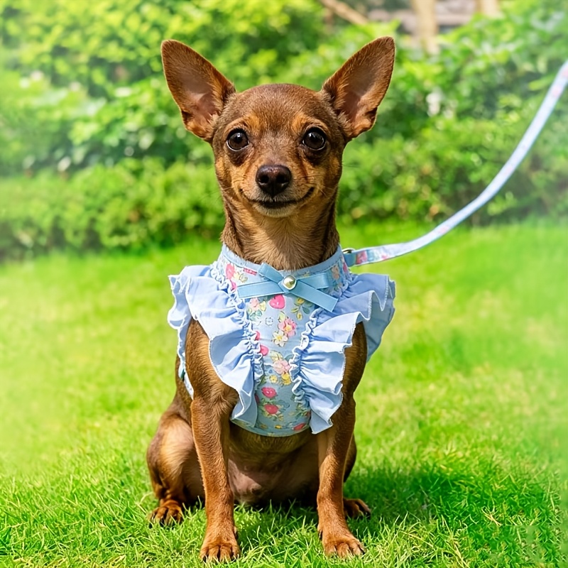Cartoon Strawberry Print Pet Harness and Leash Set