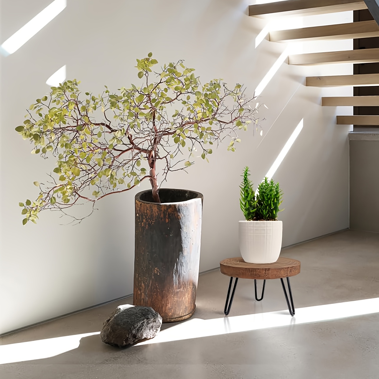 large indoor plant containers Curved Glass Terrarium Stylish Indoor Garden Planter Wardian