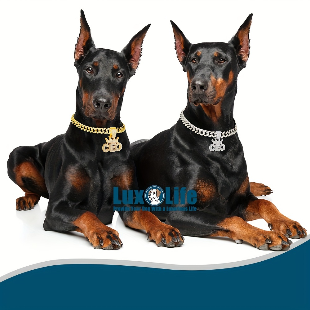 golden plated dog chain collar necklace cz ceo letter Temu