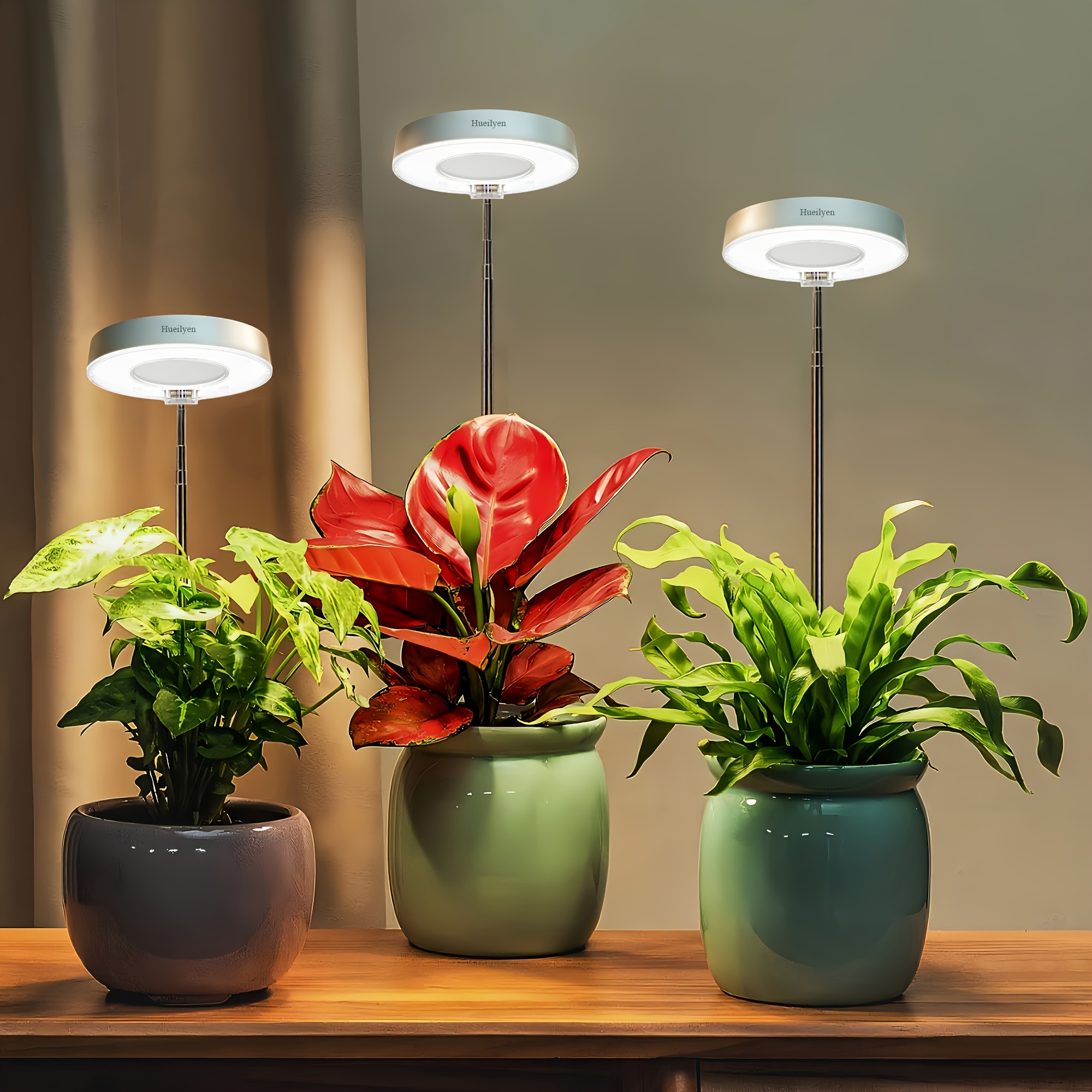 TEMU 3pcs Halo Plant Grow Light, Led Growing Lamp For Indoor Plants, Succulents, Mini Bonsai, Small Plants, Height Adjustable, 4 Dimmable And Timer