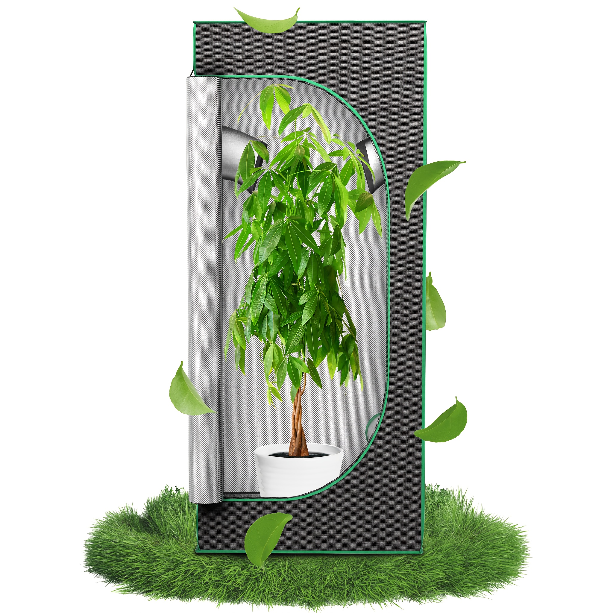 Tente de pour plantes, serre de, armoire de pour à domicile, tente de d'intérieur pour jardin, légumes et herbes,…: retailer-supplied image