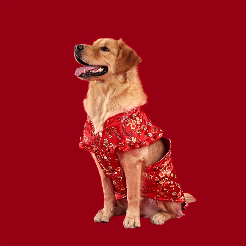 slim fit dress slacks Ethnic Red Brocade Kurta for Dogs – Wise Wag