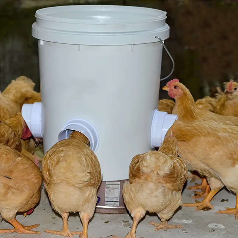 3 5 packs plastic chicken feeder kit automatic poultry feeding system with no waste spill design diy gravity feeder set for garden chickens ducks white 5 51x3 54in details 3