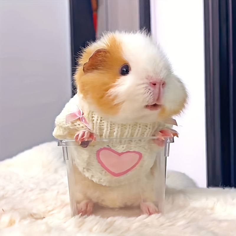 dutch little clothes hamster sweater suitable winter Temu