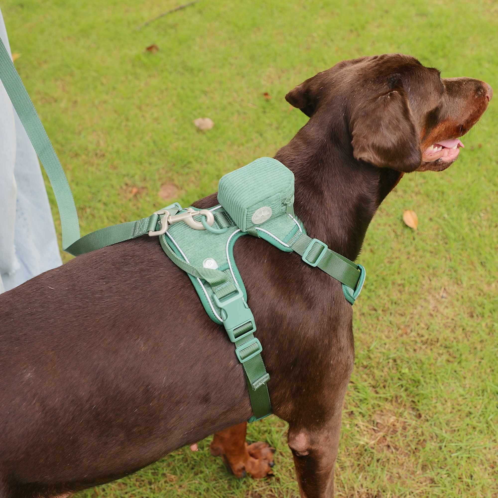 Dog sales lead bag