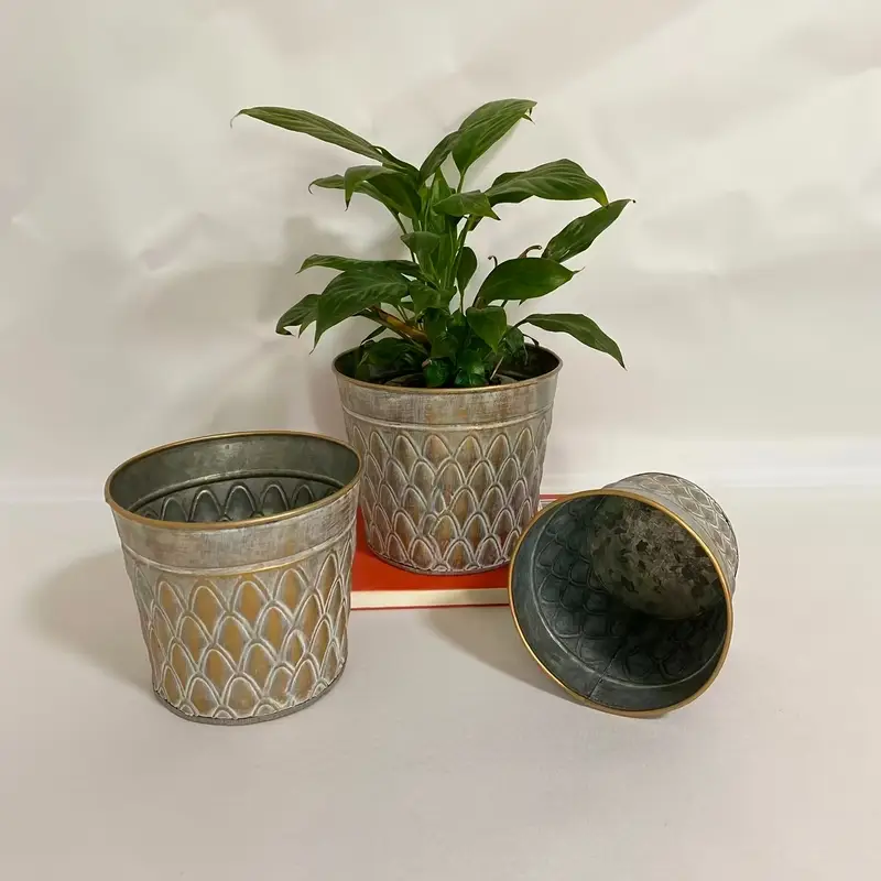 vintage blech eimer blumentopf vielseitiger pflanzkasten