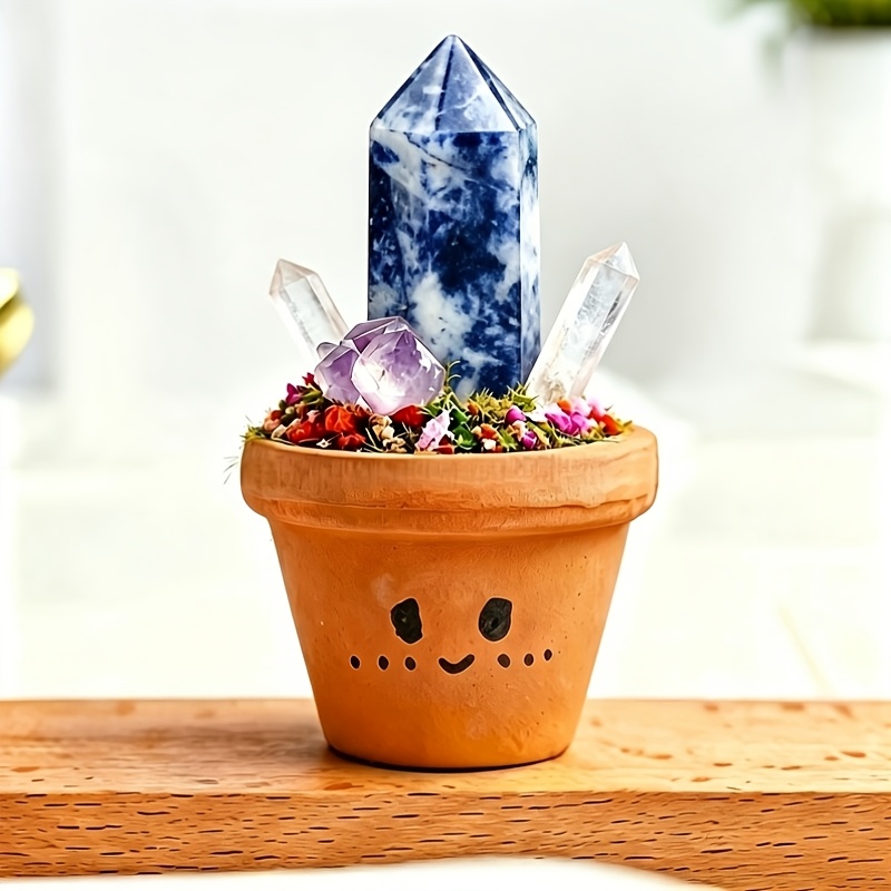 TEMU 1pc Natural Potted Plant, Mini Forest, Meditation , Potted Plant Decorative Ornament
