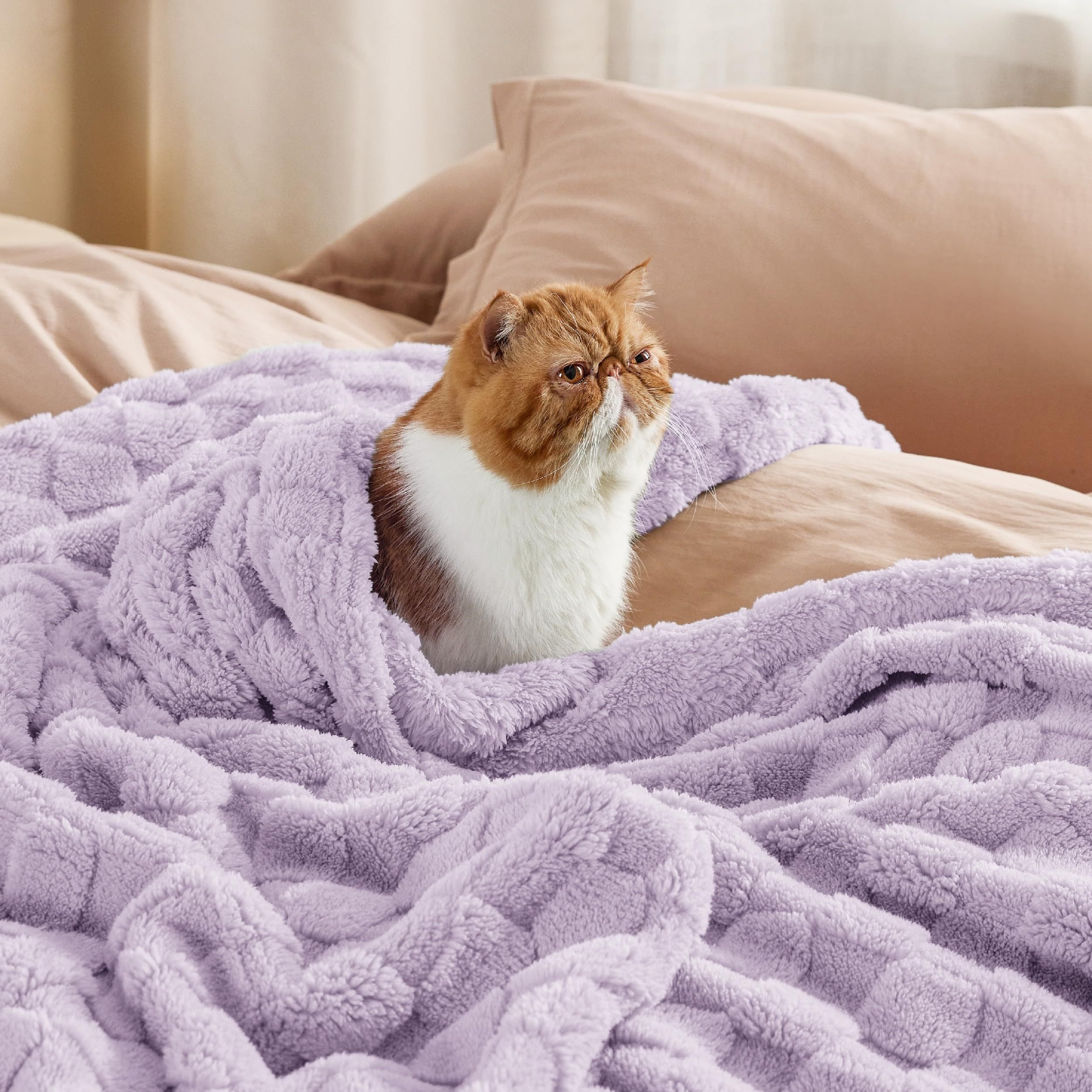 luxury soft plush throw blanket contemporary style purple Temu