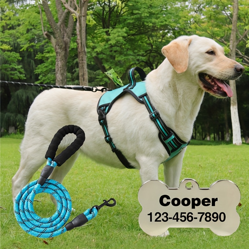 Customizable 2pcs Vest-Style Harness and Leash Set for Dogs