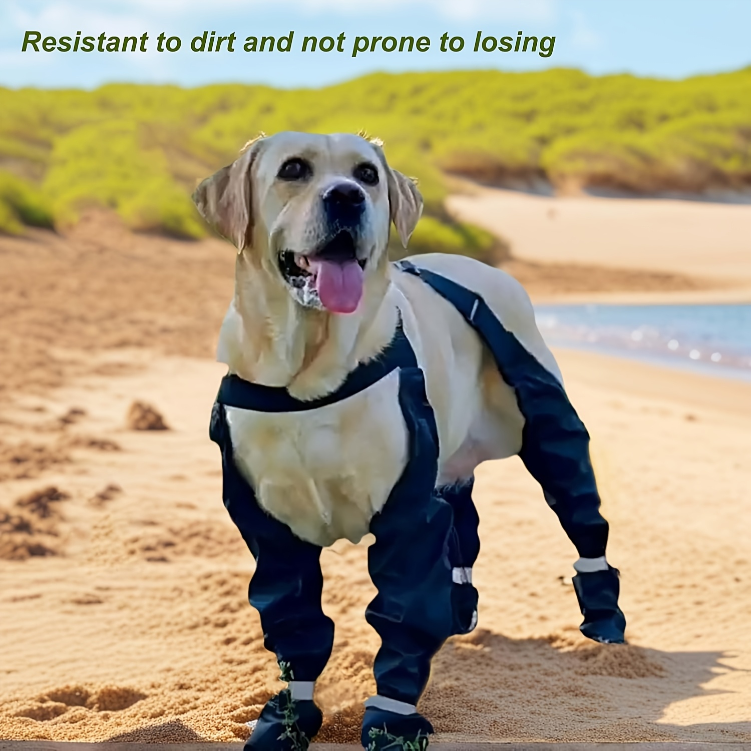Non-Slip Dog Boots for All Sizes, Adjustable Buckle Closure