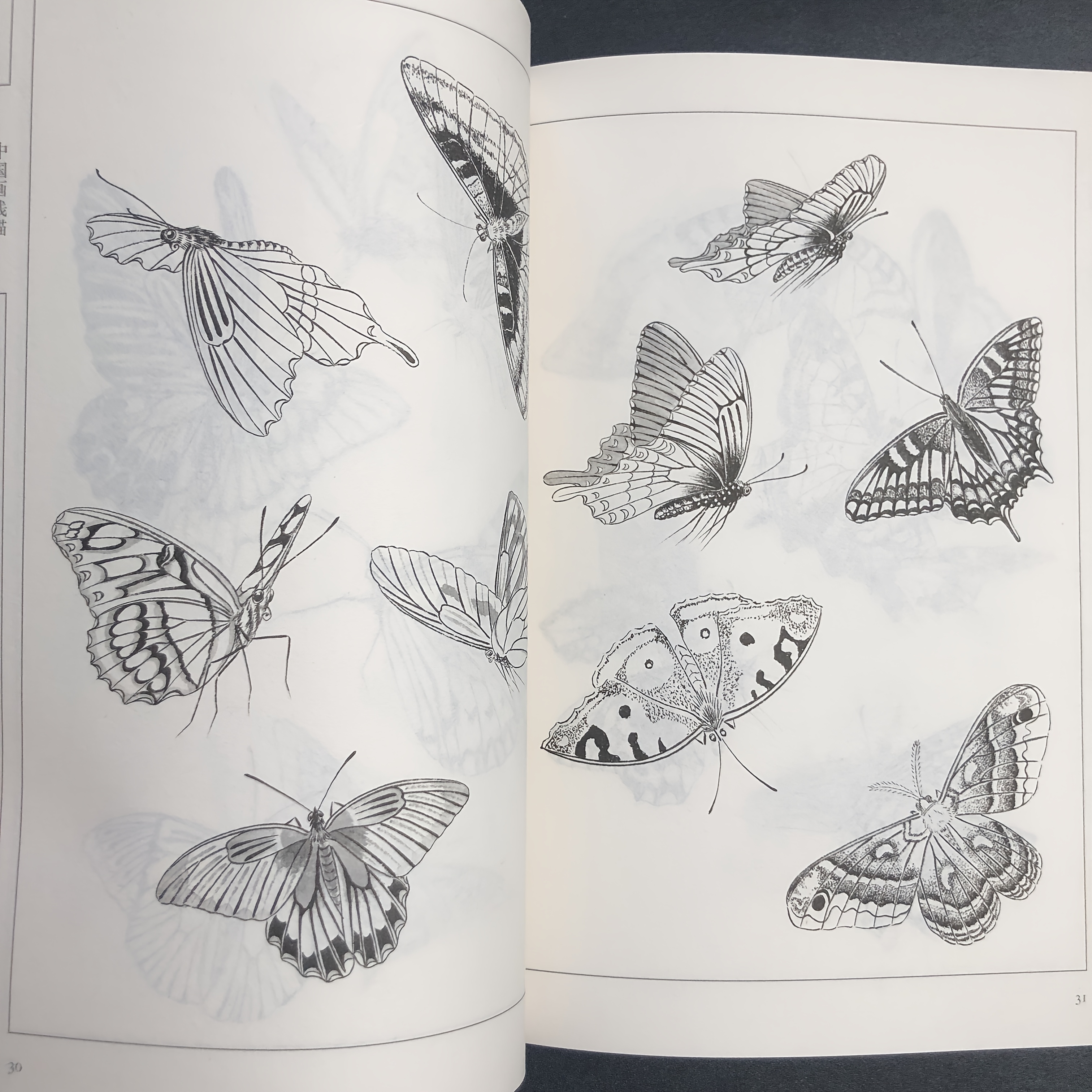Chinese Line Drawing of Butterflies, My First Chinese Painting Album, a Guide to Traditional Chinese Painting, Suitable for Teenagers And Adults for Stress Relief, DIY Coloring Book, Watercolor, Ink Painting, Oil Painting. Chinese Version