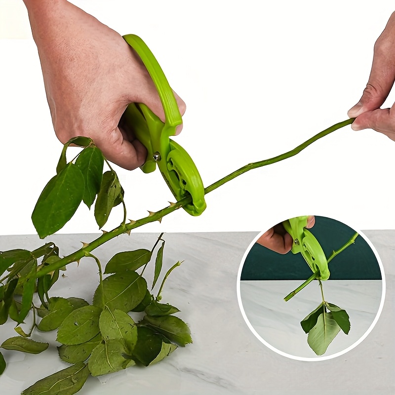 1pc   floral shears with thorn remover professional green garden scissors for flower arrangement leaf pruning branch cutting durable stainless steel   for   gardening tool   thornremover tool garden shear Product details 2