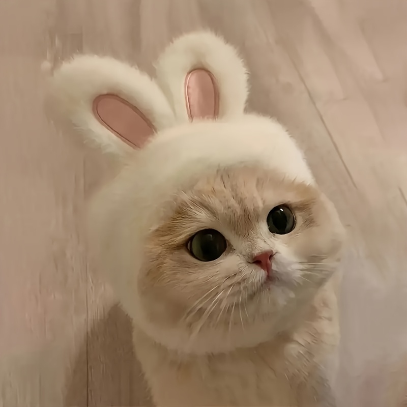 1pc Easter Themed Rabbit Ears Cat Hat | Knit Polyester, Comfortable Fabric, Machine Washable, Suitable for Cats and Small Dogs, Ideal for Role Play and Photography