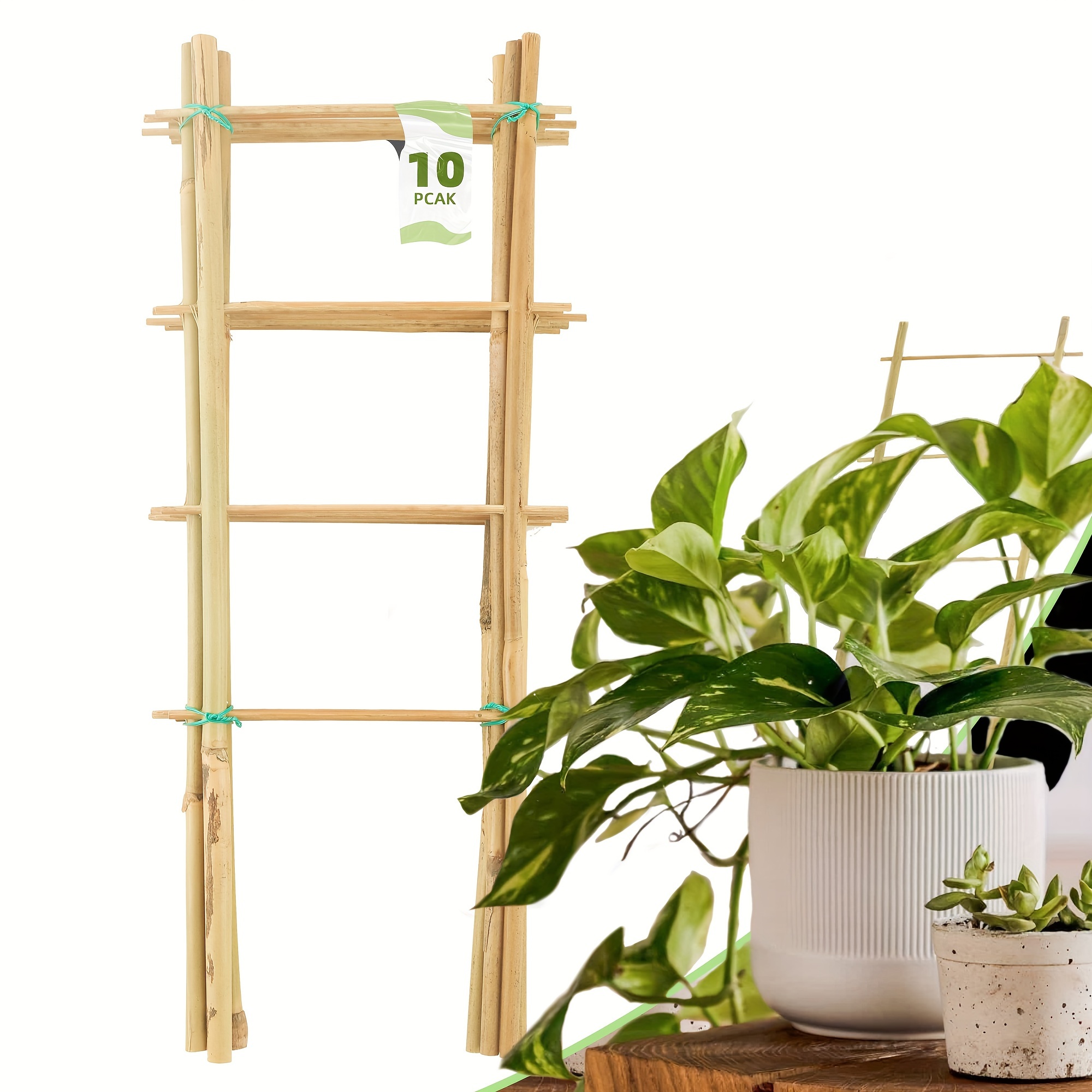 

10 Pack Bamboo Trellis For Climbing Plants, 16 Inch Fan-shaped Plant Support Bracket, Suitable For Potted Plant Decoration