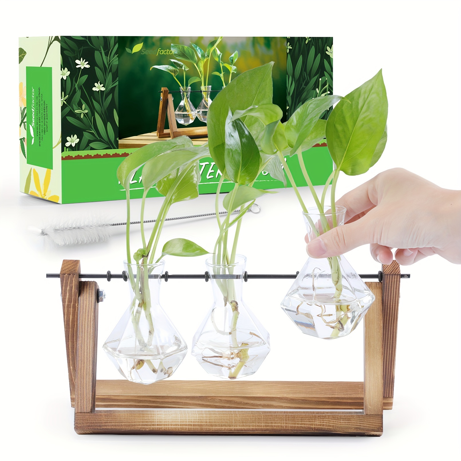 

Plant Propagation Station, Plant Terrarium With Wooden Stand, Planter Retro Rack With 3 Bulb, Gifts For Women, Air Plant Terrarium For Hydroponics Home Garden Office Decoration