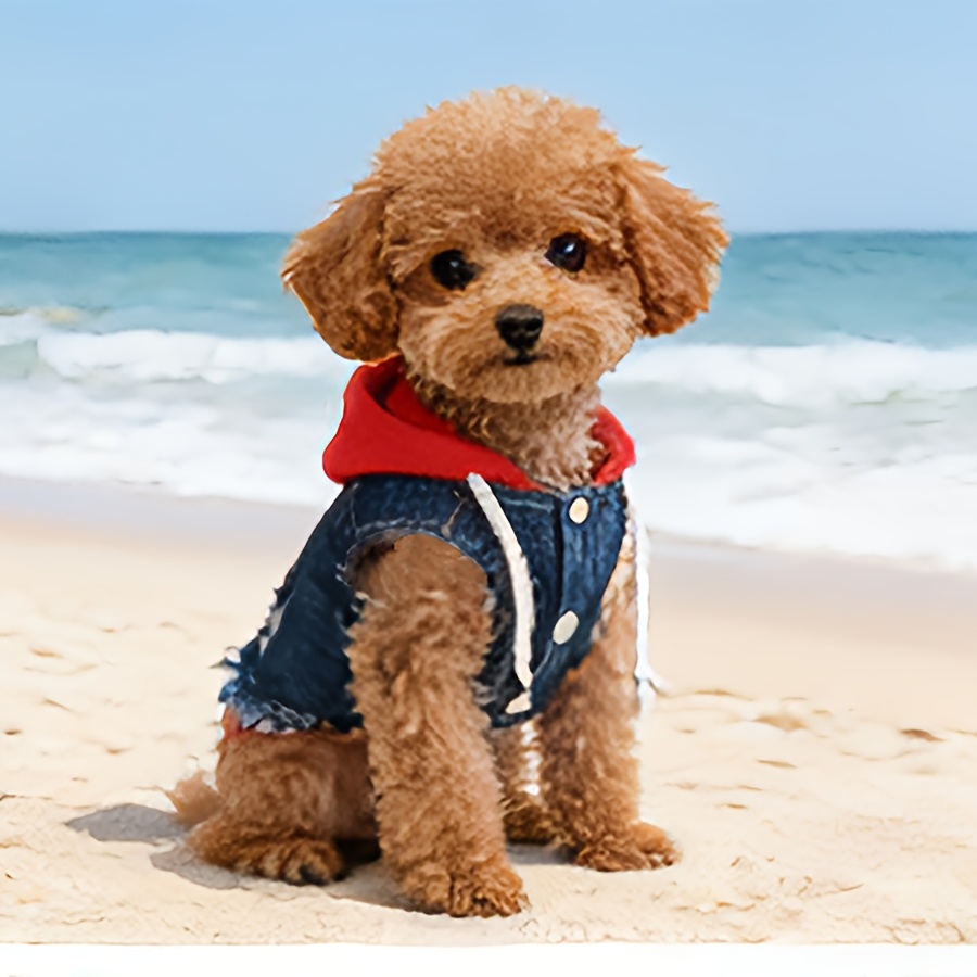 white christmas dresses Denim Dog Jacket | Light Wash Denim