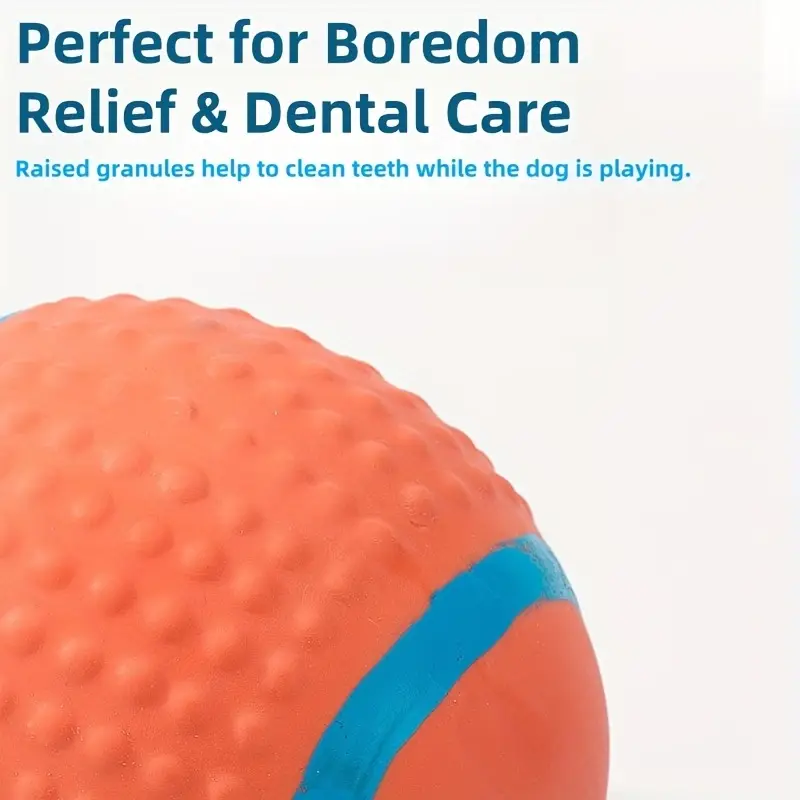 dog squeaky ball set of three rugby football volleyball toys chew resistant for details 4