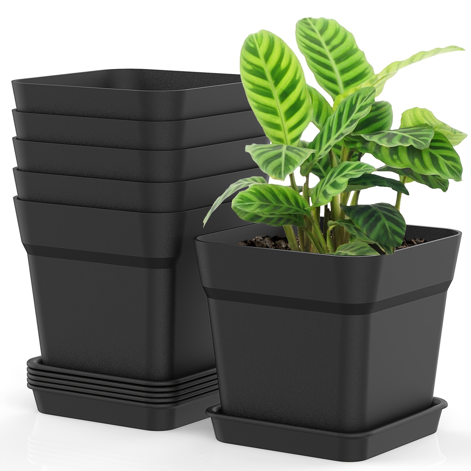 

Pack de 6 planters en plastique carrés de 6 pouces avec trous de drainage et plateaux - Convenable pour les plantes d'intérieur africaines, les plantes , les fleurs d'aloe et