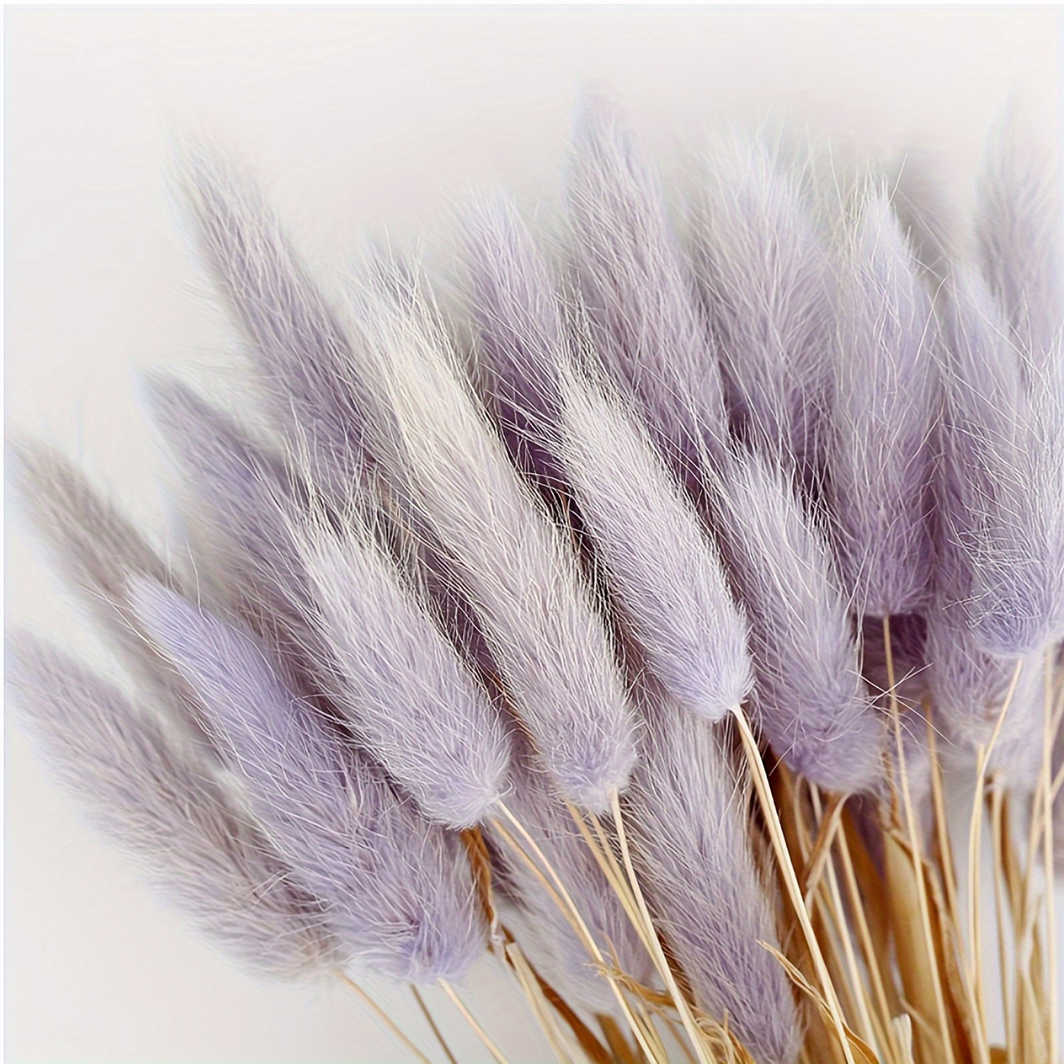 

17in Natural Bunny Tails Dried Flowers, 100 Pcs Dried Lagurus Ovatus, Dried Black Pampas Grass Decor For Farmhouse Flower Arrangements Wedding Home Craft Boho Party Halloween Decorations