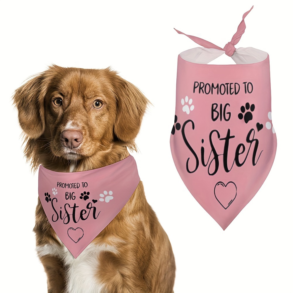 Baby Announcement Big Sister Dog Bandana Big Sister Bandana For