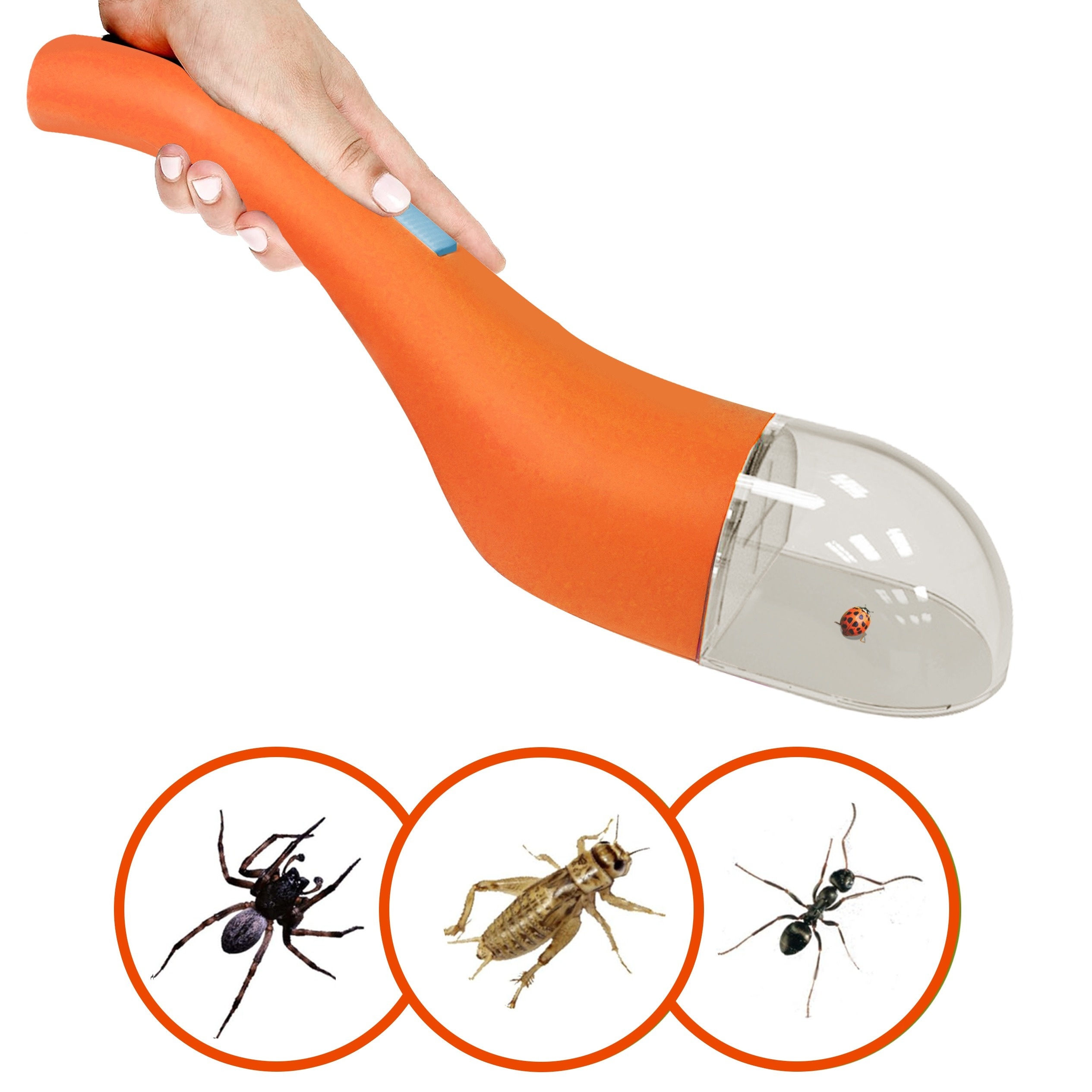 Bug Catcher Bug Catching Tool Spider Insects Catcher Live - Temu Canada