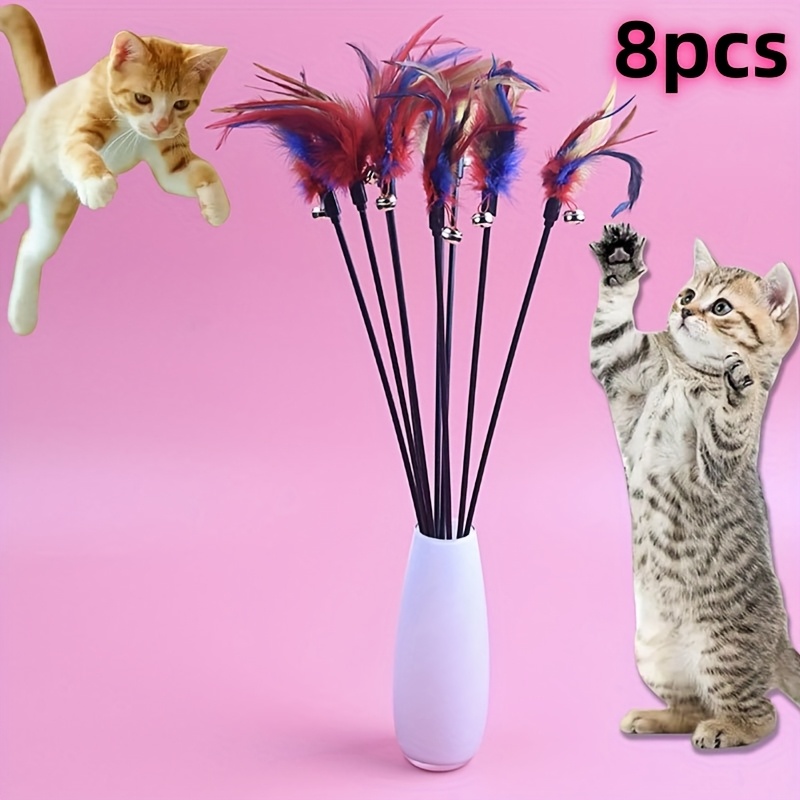 Are Feather Toys Safe for Cats: Essential Safety Tips Revealed