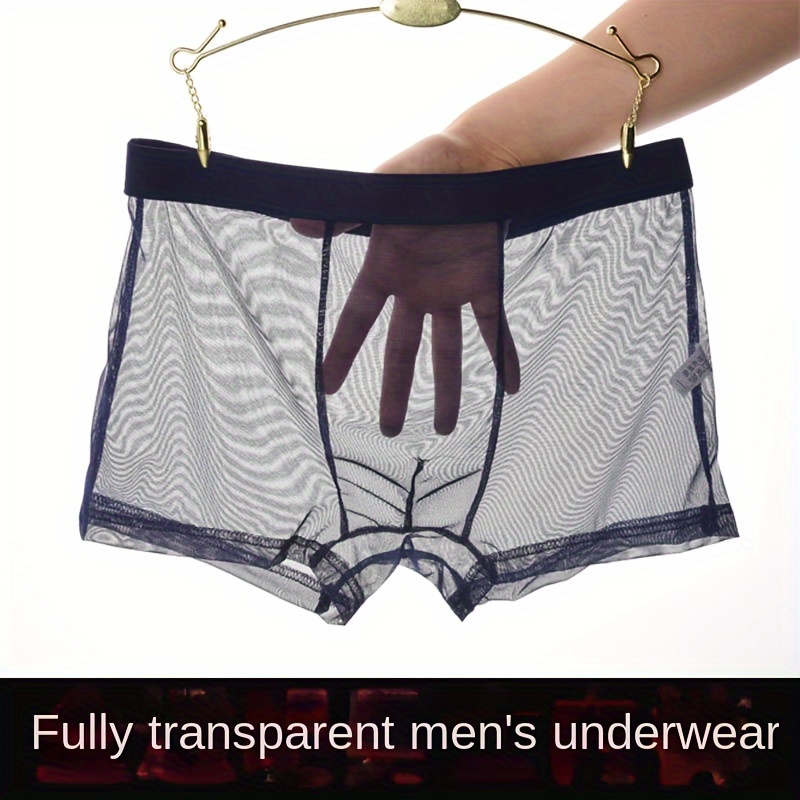 Underpants Trunks Boxer Briefs Shorts Underwear Sheer Men See Through Sexy  Mesh